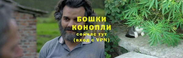 гидра Богородск
