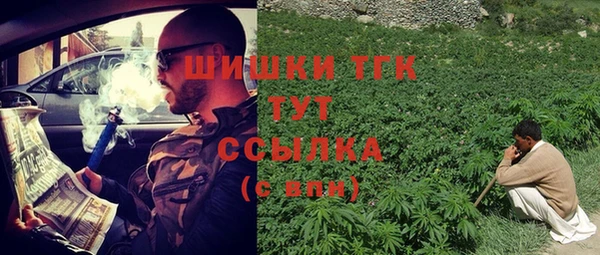 гидра Богородск