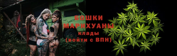 ГАЛЛЮЦИНОГЕННЫЕ ГРИБЫ Баксан