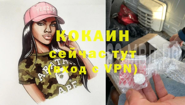 гидра Богородск