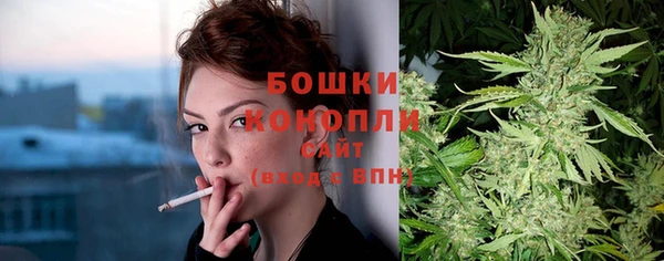 ГАЛЛЮЦИНОГЕННЫЕ ГРИБЫ Баксан