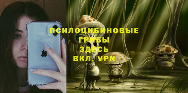 ГАЛЛЮЦИНОГЕННЫЕ ГРИБЫ Баксан