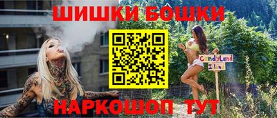кокс Гатчина