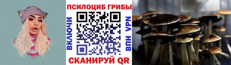 Псилоцибиновые грибы мицелий  Луховицы 