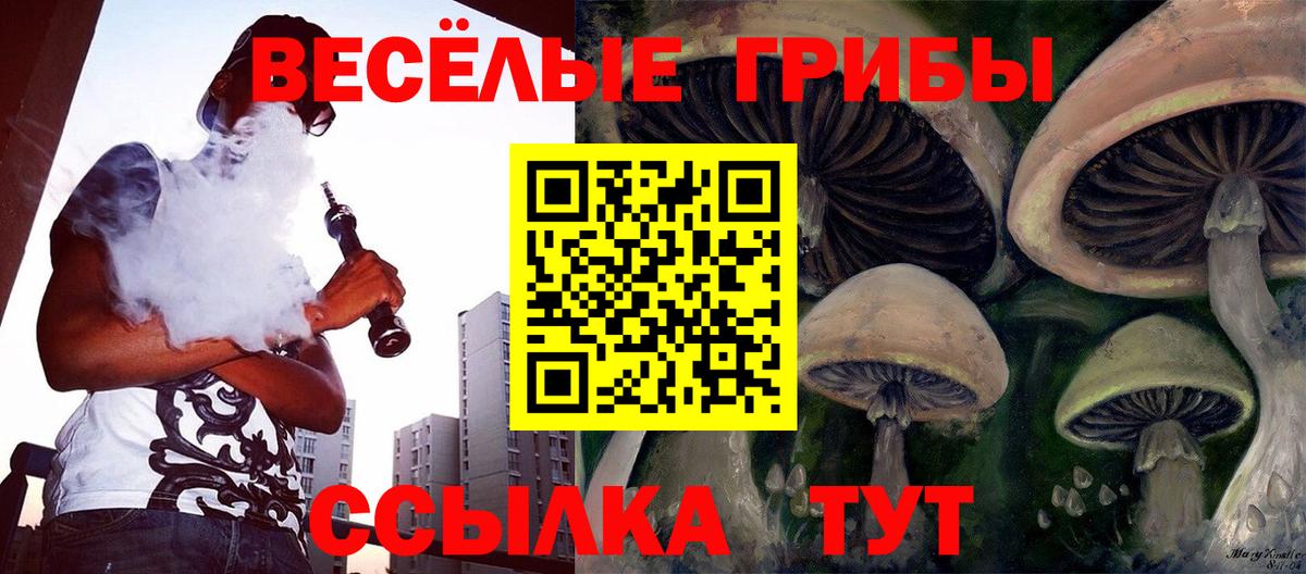 Псилоцибиновые грибы мицелий  как найти наркотики  Луховицы 