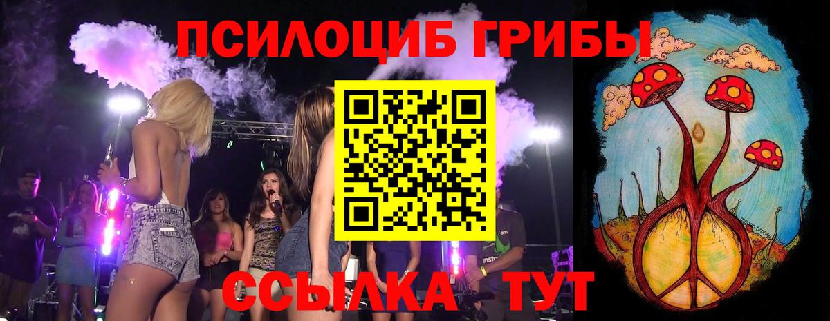 Псилоцибиновые грибы GOLDEN TEACHER Луховицы