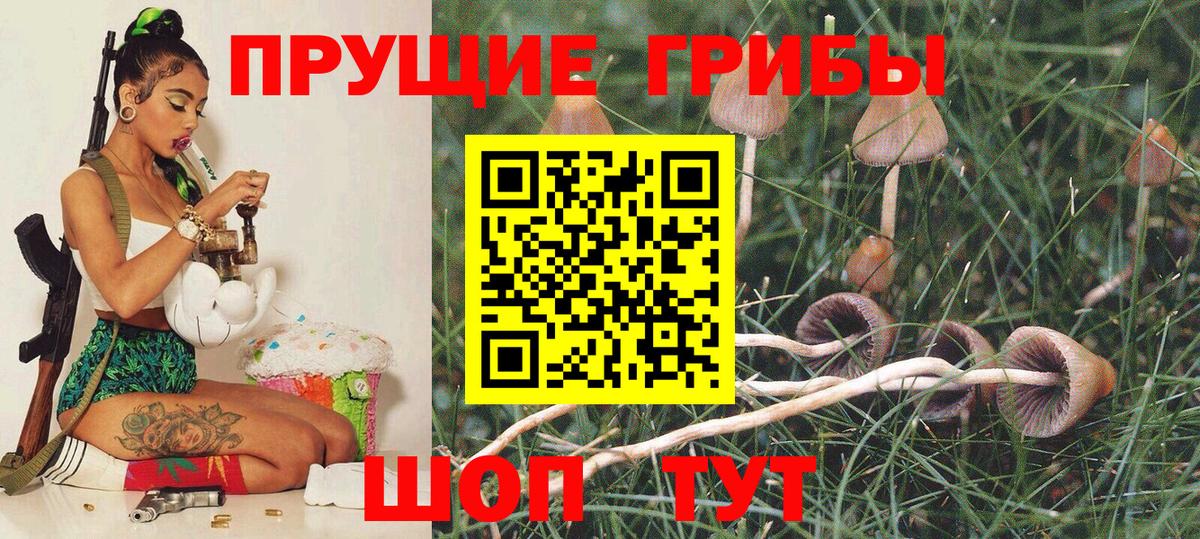 Галлюциногенные грибы прущие грибы  Вход с VPN  Луховицы 